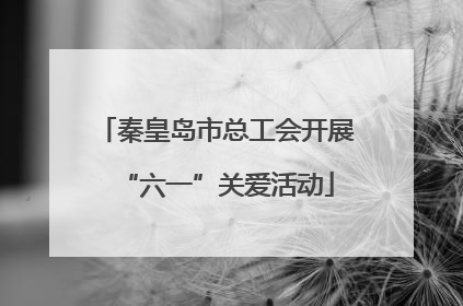 秦皇岛市总工会开展“六一”关爱活动