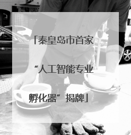 秦皇岛市首家“人工智能专业孵化器”揭牌