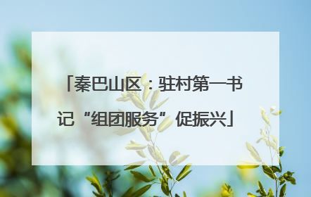 秦巴山区：驻村第一书记“组团服务”促振兴