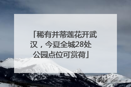 稀有并蒂莲花开武汉，今夏全城28处公园点位可赏荷