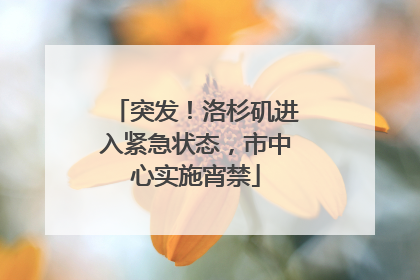突发！洛杉矶进入紧急状态，市中心实施宵禁