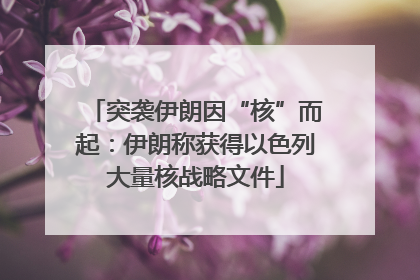 突袭伊朗因“核”而起：伊朗称获得以色列大量核战略文件