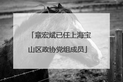 章宏斌已任上海宝山区政协党组成员