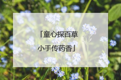 童心探百草 小手传药香