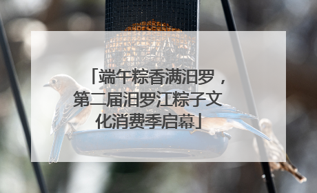 端午粽香满汨罗，第二届汨罗江粽子文化消费季启幕