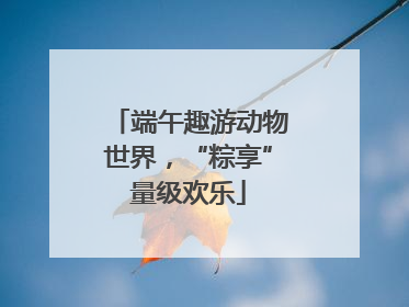 端午趣游动物世界，“粽享”量级欢乐