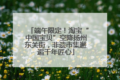 端午限定！淘宝“中国宝贝”空降扬州东关街，非遗市集邂逅千年匠心