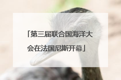 第三届联合国海洋大会在法国尼斯开幕
