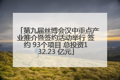 第九届丝博会汉中重点产业推介暨签约活动举行 签约 93个项目 总投资132.23 亿元