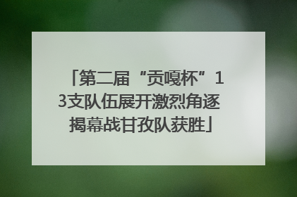 第二届“贡嘎杯”13支队伍展开激烈角逐 揭幕战甘孜队获胜