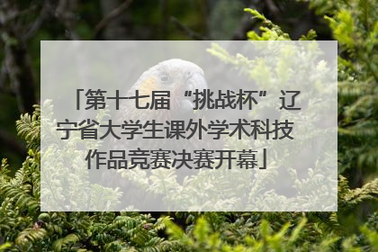 第十七届“挑战杯”辽宁省大学生课外学术科技作品竞赛决赛开幕