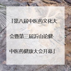第八届中医药文化大会暨第三届沂山论健·中医药健康大会开幕