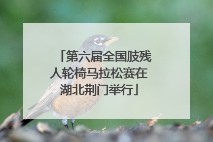 第六届全国肢残人轮椅马拉松赛在湖北荆门举行