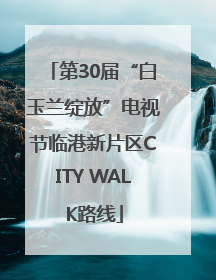 第30届“白玉兰绽放”电视节临港新片区CITY WALK路线
