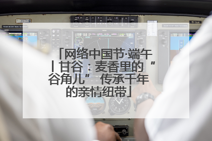 网络中国节·端午丨甘谷：麦香里的“谷角儿” 传承千年的亲情纽带