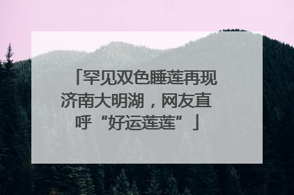 罕见双色睡莲再现济南大明湖，网友直呼“好运莲莲”