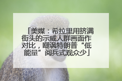 美媒：希拉里用挤满街头的示威人群画面作对比，嘲讽特朗普“低能量”阅兵式观众少