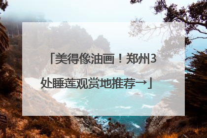 美得像油画！郑州3处睡莲观赏地推荐→