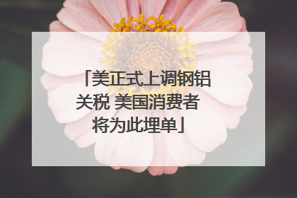 美正式上调钢铝关税 美国消费者将为此埋单