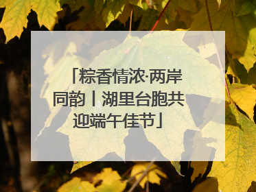 粽香情浓·两岸同韵丨湖里台胞共迎端午佳节
