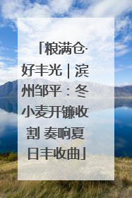 粮满仓·好丰光｜滨州邹平：冬小麦开镰收割 奏响夏日丰收曲