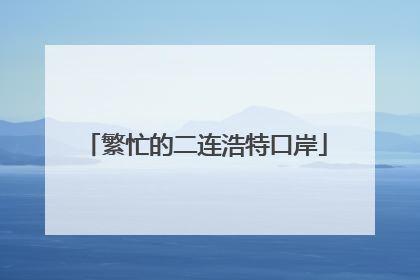 繁忙的二连浩特口岸
