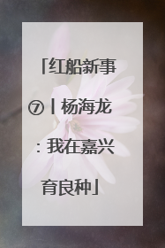 红船新事⑦丨杨海龙：我在嘉兴育良种