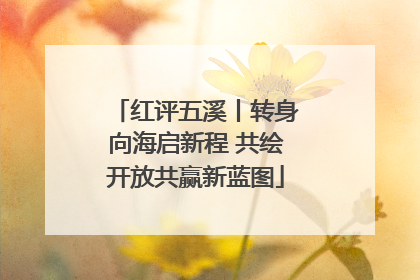 红评五溪丨转身向海启新程 共绘开放共赢新蓝图