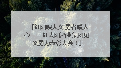 红阳映大义 勇者暖人心——红太阳酒业集团见义勇为表彰大会！