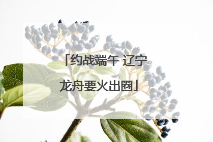 约战端午 辽宁龙舟要火出圈