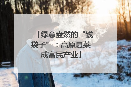 绿意盎然的“钱袋子”：高原夏菜成富民产业