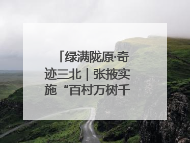 绿满陇原·奇迹三北｜张掖实施“百村万树千里林”工程