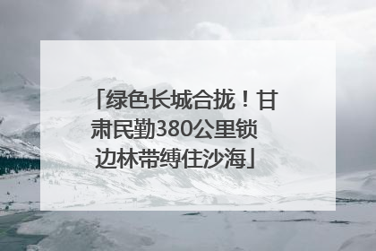 绿色长城合拢！甘肃民勤380公里锁边林带缚住沙海