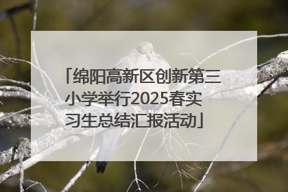 绵阳高新区创新第三小学举行2025春实习生总结汇报活动