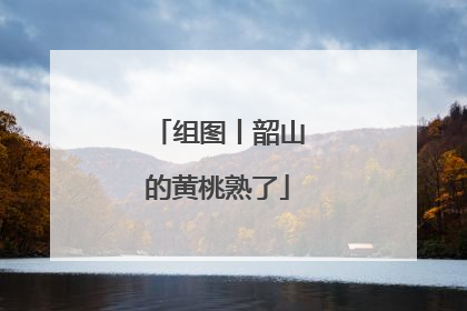 组图丨韶山的黄桃熟了