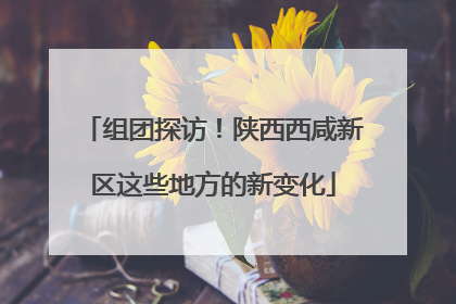 组团探访！陕西西咸新区这些地方的新变化
