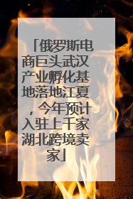俄罗斯电商巨头武汉产业孵化基地落地江夏，今年预计入驻上千家湖北跨境卖家
