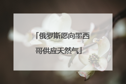 俄罗斯愿向墨西哥供应天然气