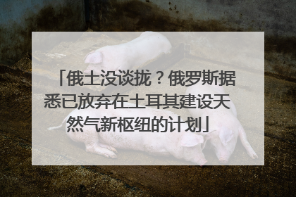 俄土没谈拢？俄罗斯据悉已放弃在土耳其建设天然气新枢纽的计划