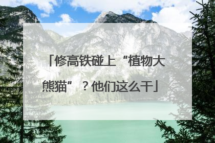 修高铁碰上“植物大熊猫”？他们这么干