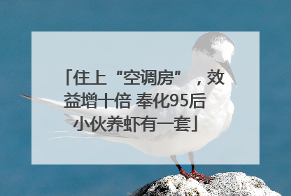 住上“空调房”，效益增十倍 奉化95后小伙养虾有一套
