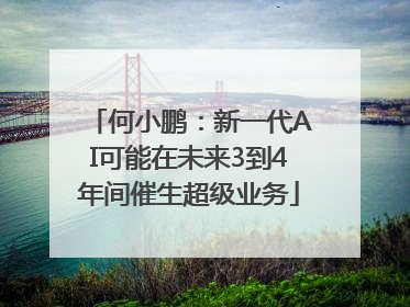 何小鹏：新一代AI可能在未来3到4年间催生超级业务