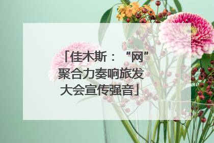佳木斯：“网” 聚合力奏响旅发大会宣传强音