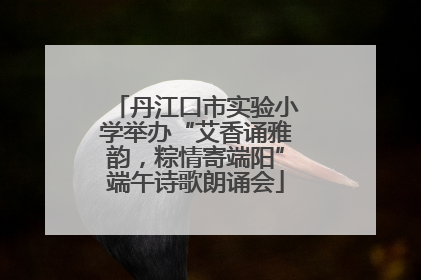 丹江口市实验小学举办“艾香诵雅韵，粽情寄端阳”端午诗歌朗诵会