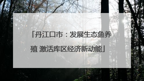 丹江口市：发展生态鱼养殖 激活库区经济新动能