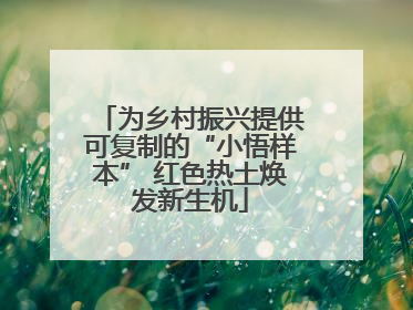 为乡村振兴提供可复制的“小悟样本” 红色热土焕发新生机