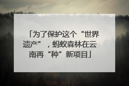 为了保护这个“世界遗产”，蚂蚁森林在云南再“种”新项目