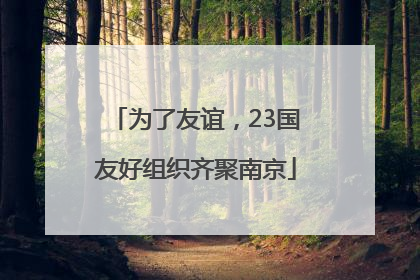 为了友谊，23国友好组织齐聚南京