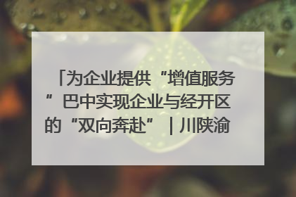 为企业提供“增值服务”巴中实现企业与经开区的“双向奔赴”｜川陕渝网络名人巴中行