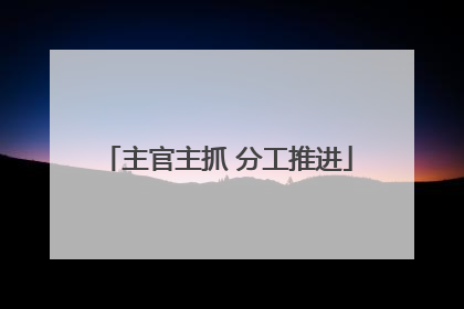 主官主抓 分工推进